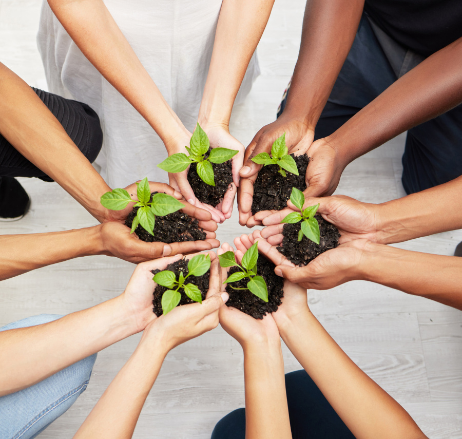 1718590721411458CtmC.jpg 人才培養(yǎng).jpg